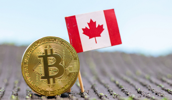 Canada Plans Crypto and NFT Storage for Seized Assets