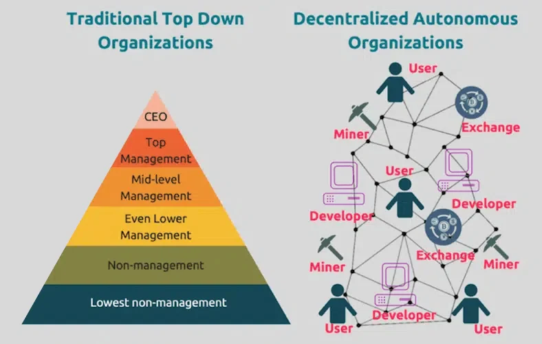 Decentralized Autonomous Organization and Traditional Top Down Organization