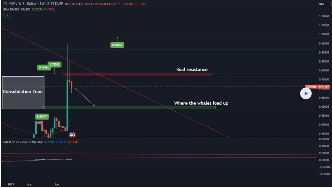 Ripple XRP NFT nextNFTmint